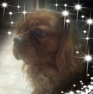 Meet your Posher, Linda